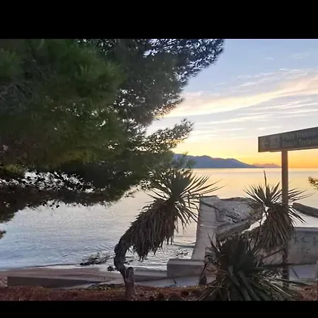 Clementina Sunrise
